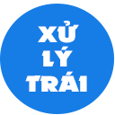 Giai Đoạn Xử Lý Trái