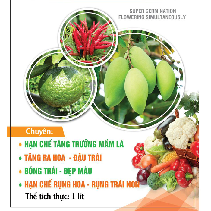 CANXI BO SIÊU LẤY NHỤY 1 lít