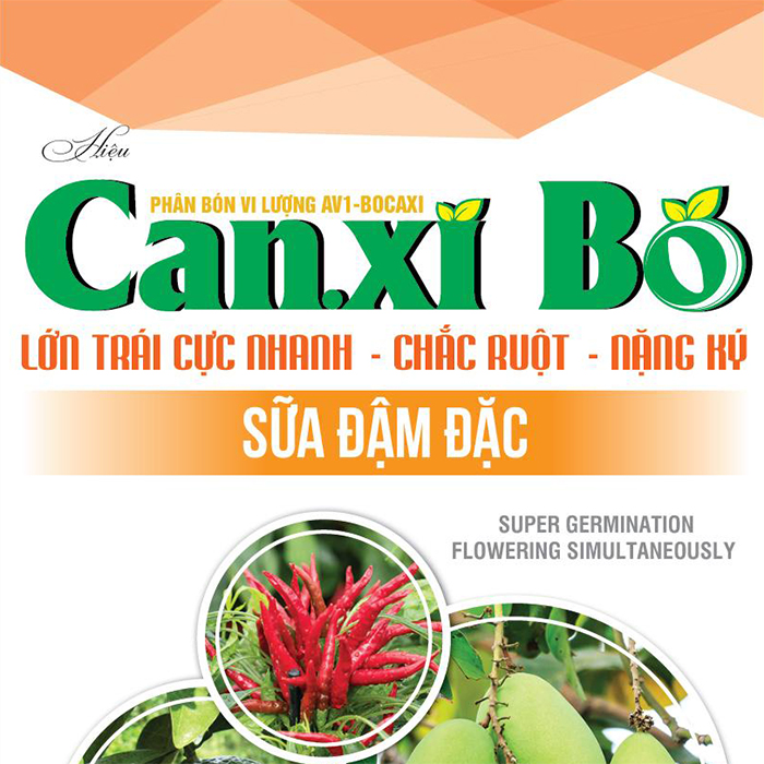 CANXI BO SIÊU LẤY NHỤY 1 lít
