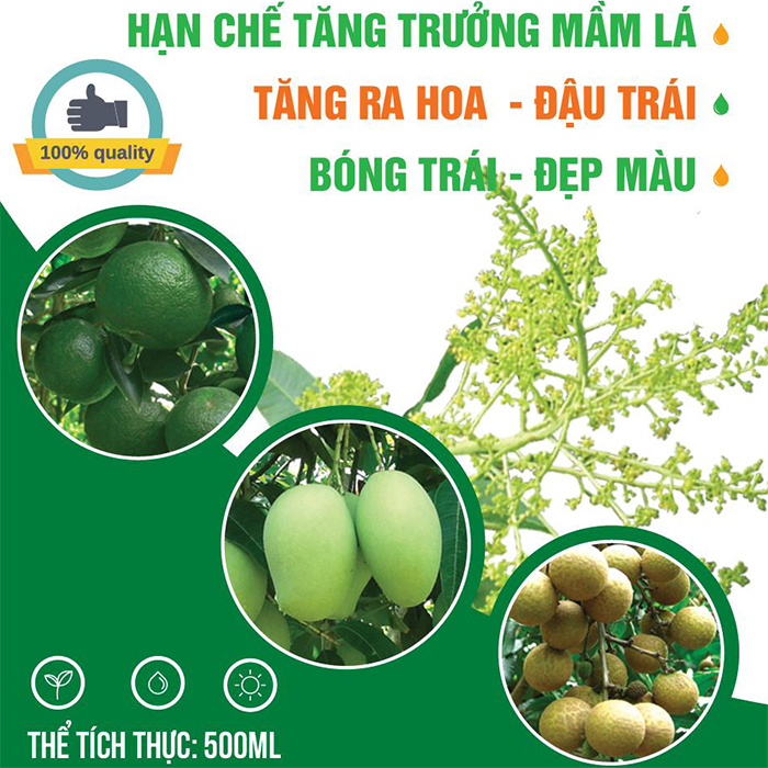 CANXI BO SỮA ĐẬM ĐẶC 500ml