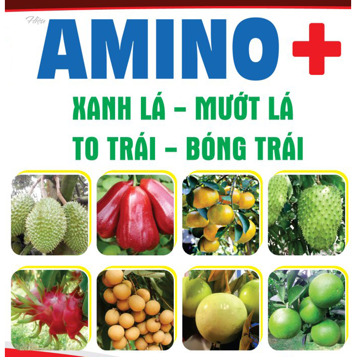 AMINO PLUS, +, 1L