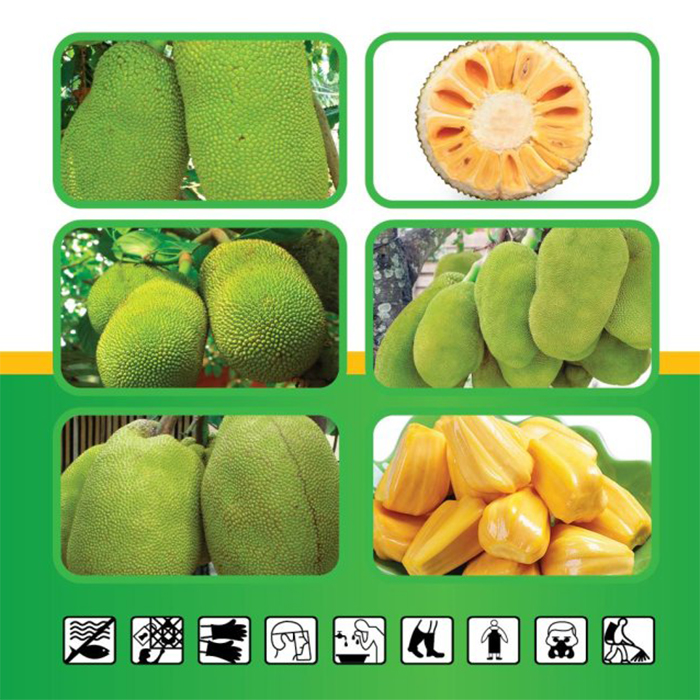 CAXI KẼM DÙNG CHO MÍT 1 Lít
