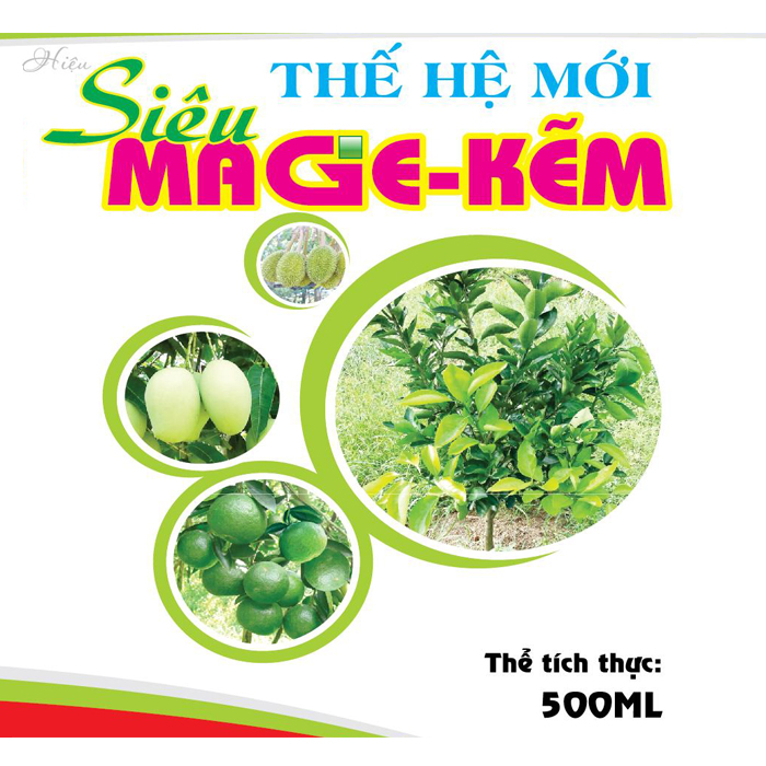 SIÊU MAGIE KẼM THẾ HỆ MỚI
