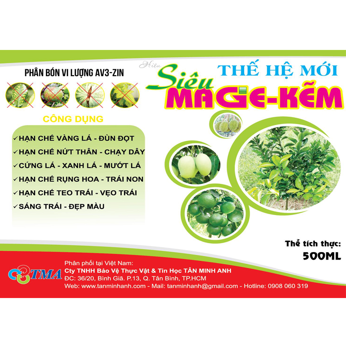 SIÊU MAGIE KẼM THẾ HỆ MỚI