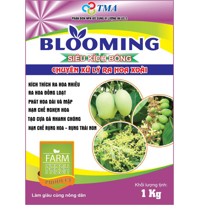 BLOOMING KÍCH BÔNG XOÀI GOLD 1Kg