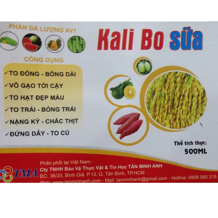 KALI BO SỮA