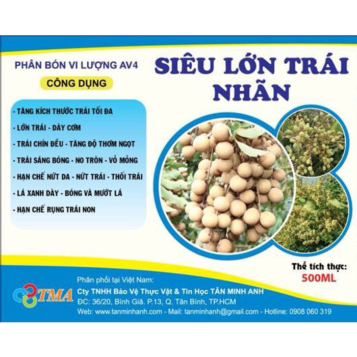 SIÊU LỚN TRÁI NHÃN 500ml