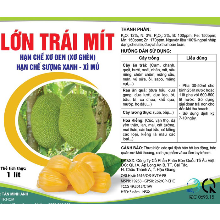 LỚN TRÁI MÍT 1 lít