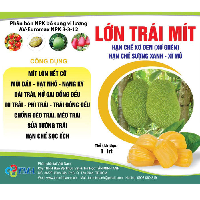 LỚN TRÁI MÍT 1 lít